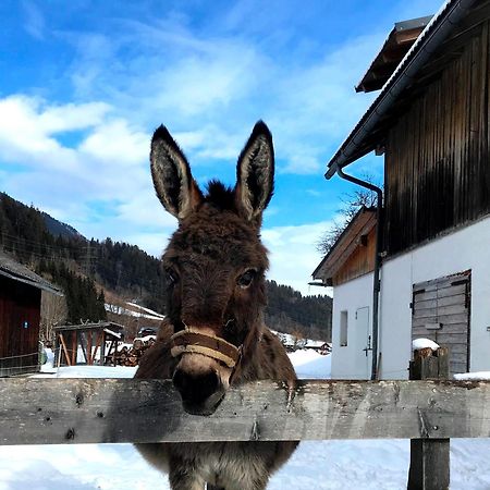 Hinkerhof Guest House Schladming Luaran gambar