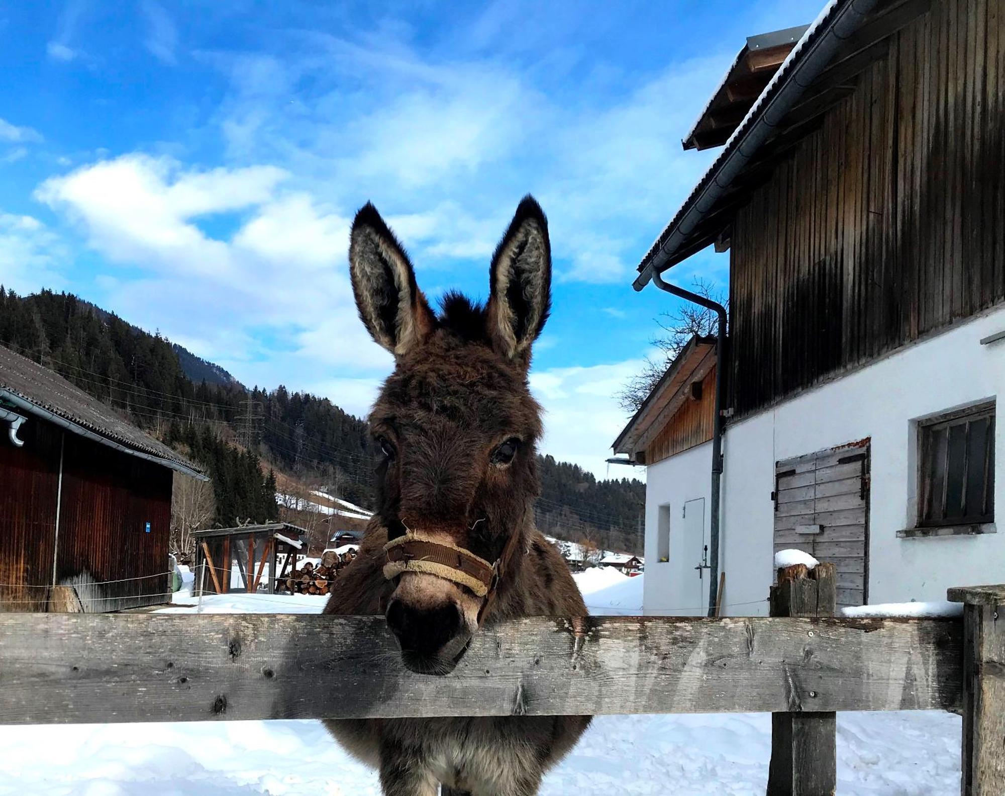 Hinkerhof Guest House Schladming Luaran gambar